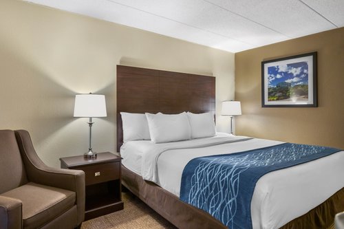 COMFORT INN GRAND RAPIDS AIRPORT $86 ($̶9̶8̶) - Updated 2024 Prices ...