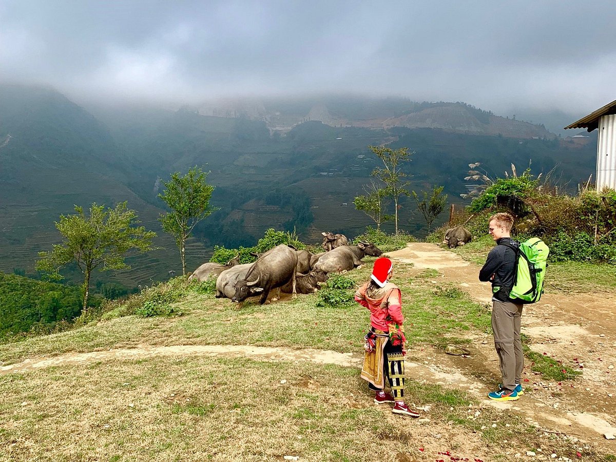 sapa tours with pham