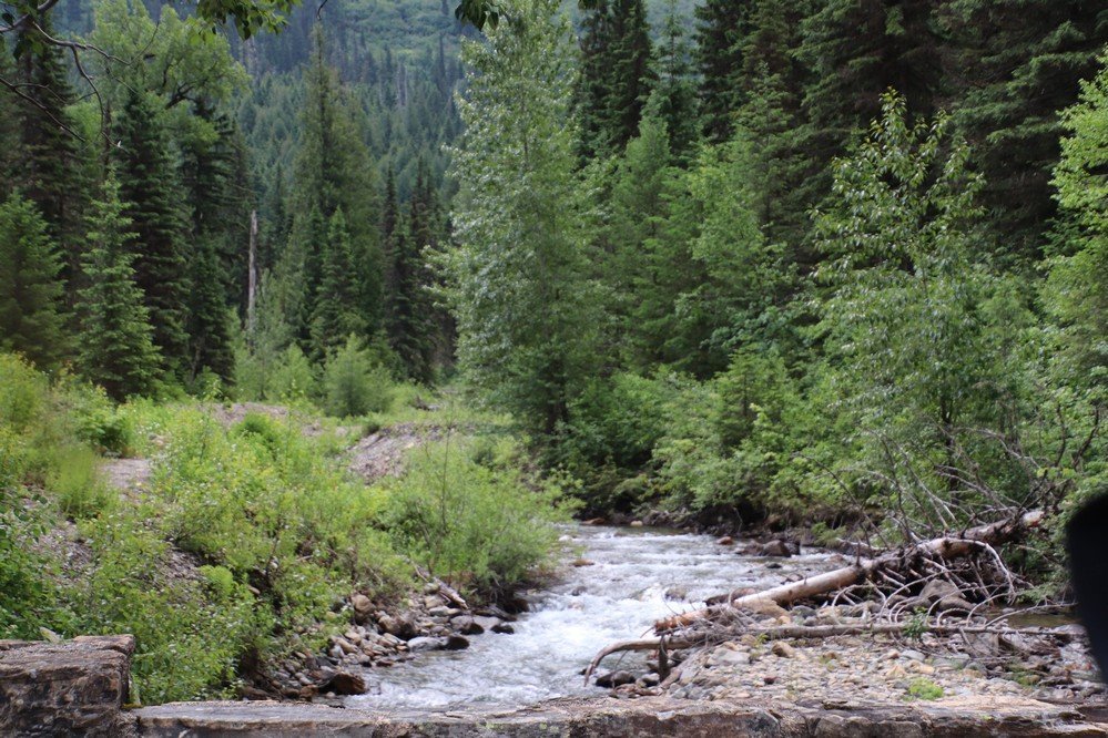 Logan Creek Bridge (Glacier National Park): All You Need to Know