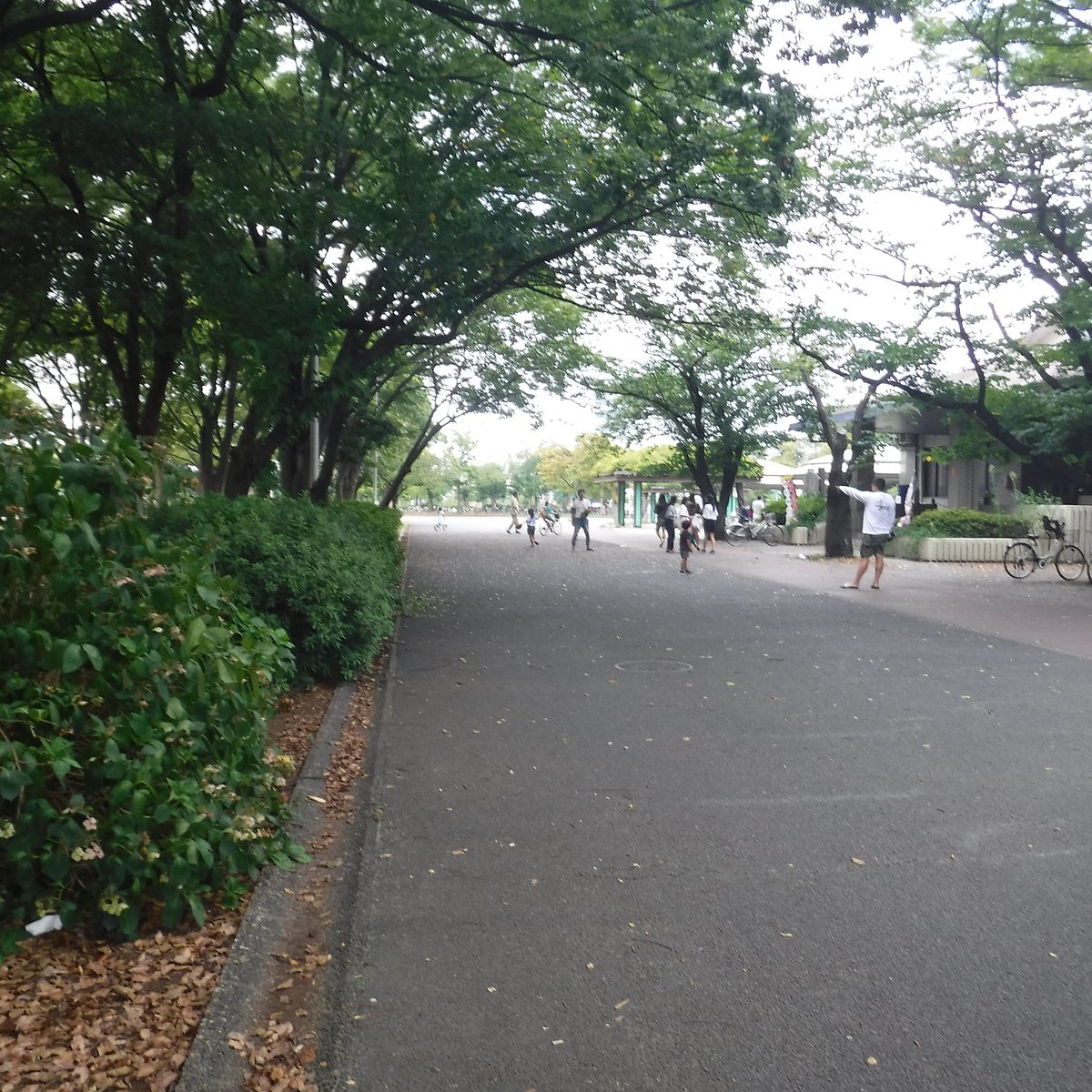 SHINKOIWA PARK (Katsushika) - All You Need to Know BEFORE You Go