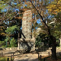 木陰の中で。
