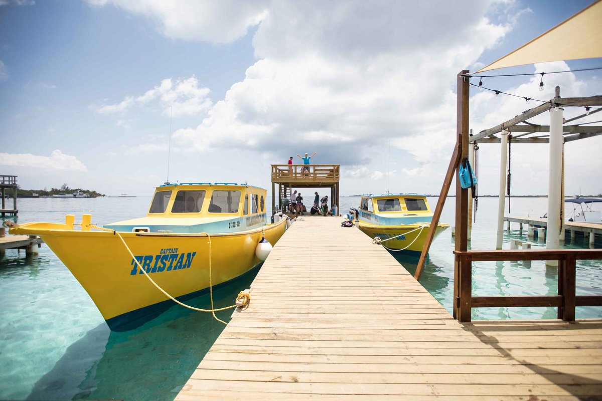 Utila Dive Center - All You Need to Know BEFORE You Go (with Photos)