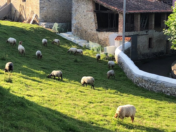 Imagen 8 de Pueblo de Porrua