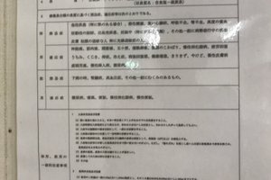 旅行者の写真