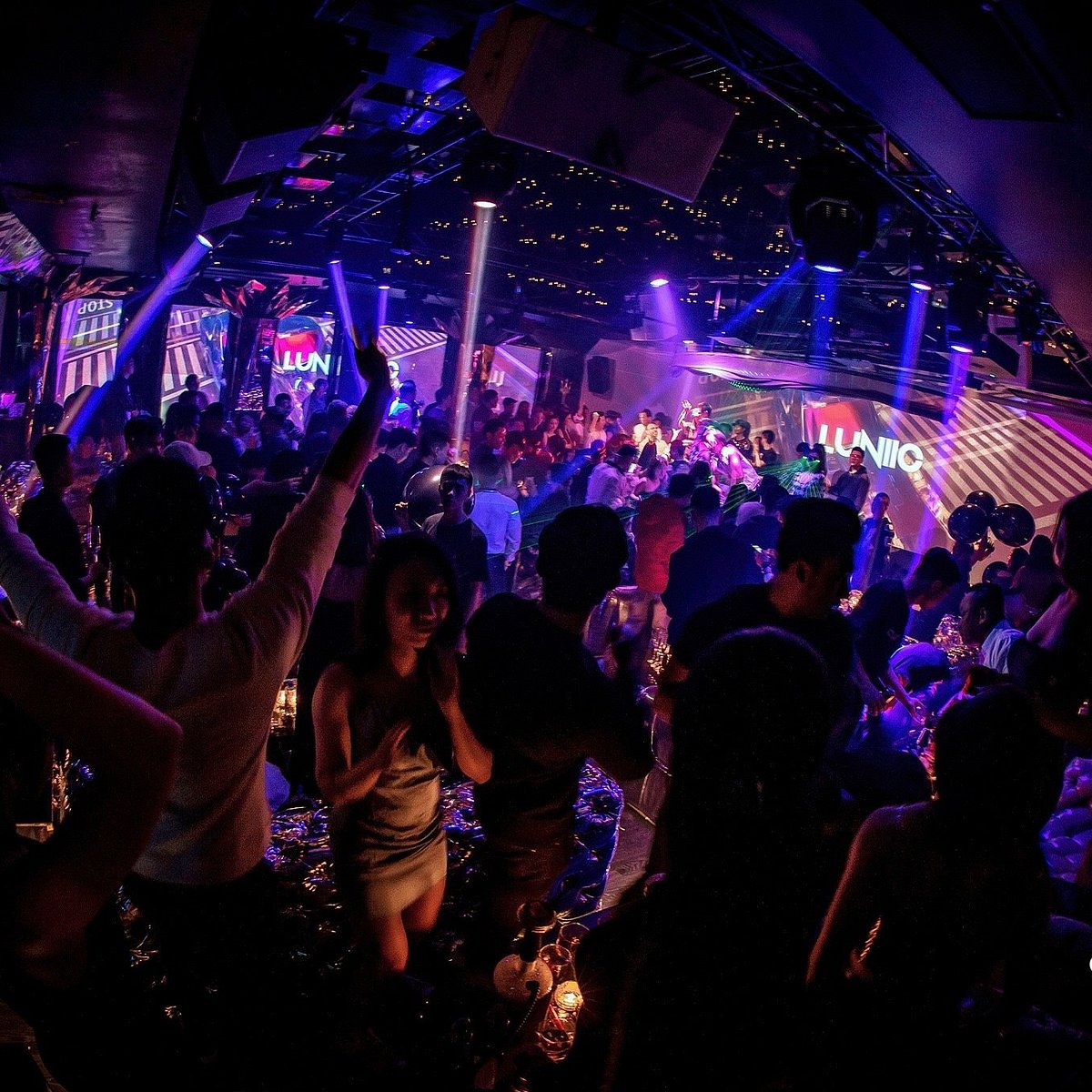 shark-club-hanoi-all-you-need-to-know-before-you-go