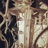 Live Silver Museum