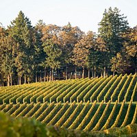 The tasting room from vineyard view.