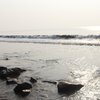 Avijit_Mah