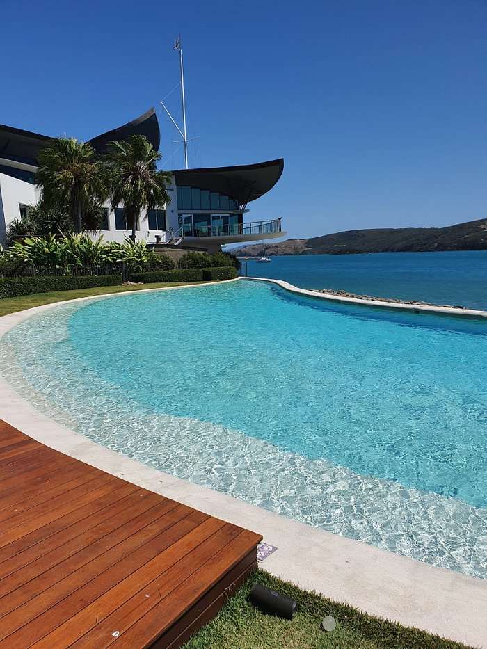 hamilton island yacht club pool