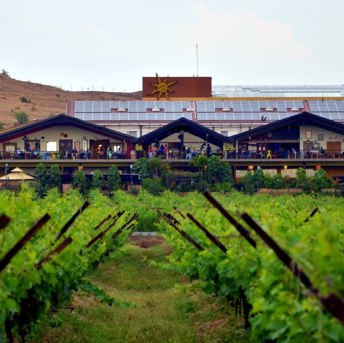 Sula Vineyards