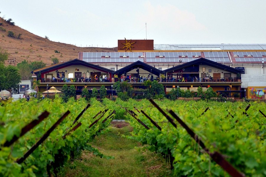 wine tourism in nashik