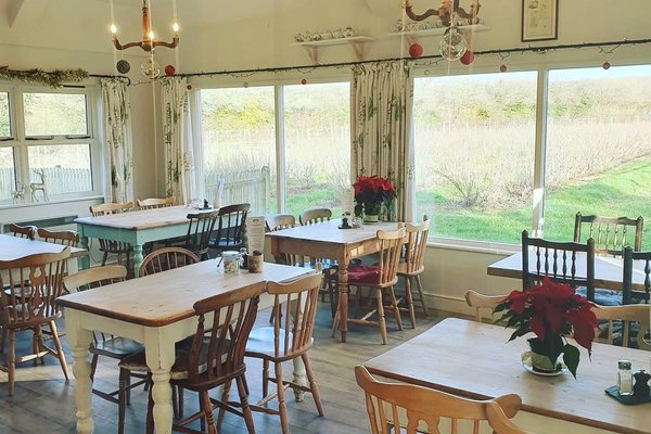 THE 10 BEST Cafés in Petersfield (Updated 2024) - Tripadvisor