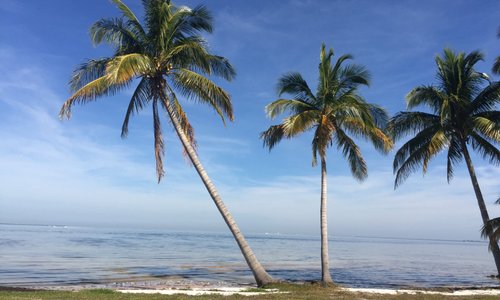 Pine Island is renowed for our fishing. Come visit and leave the cold weather behind.