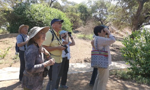 Avistamiento de naturaleza con buenos equipos en inglés o español.
