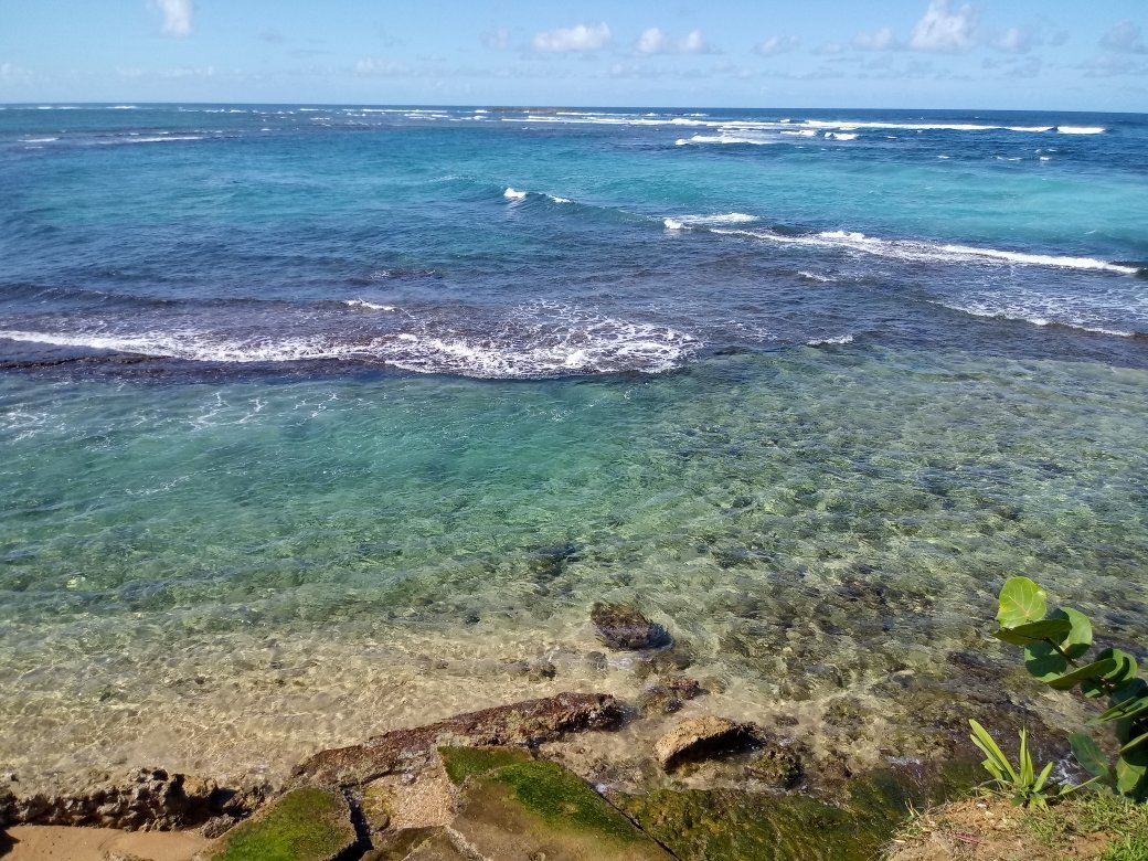 LOS MEJORES Restaurantes Con Vistas En San Juan 2024   20191208 125302 Largejpg 