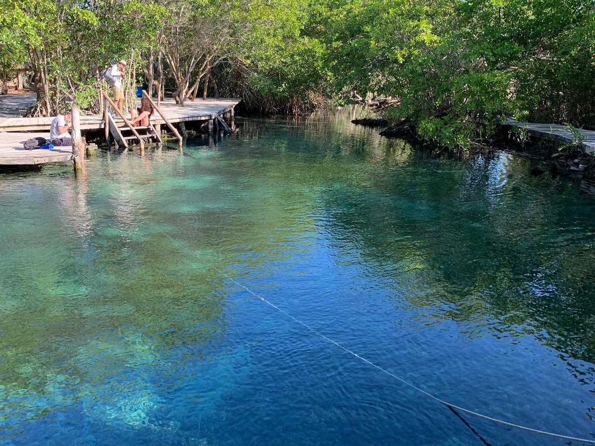 Holbox Collection Day Tour - All You Need to Know BEFORE You Go (2024)