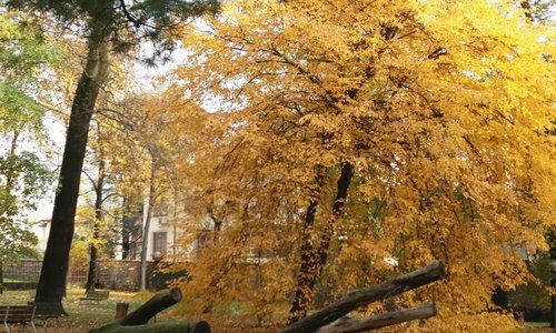 Parco pubblico di Villa Sartirana