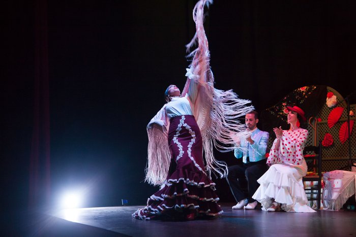 Imagen 6 de Tablao Cuna del Flamenco