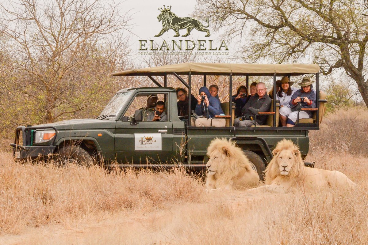 ELANDELA PRIVATE GAME RESERVE & LUXURY LODGES (Хедспрут) - отзывы, фото и  сравнение цен - Tripadvisor