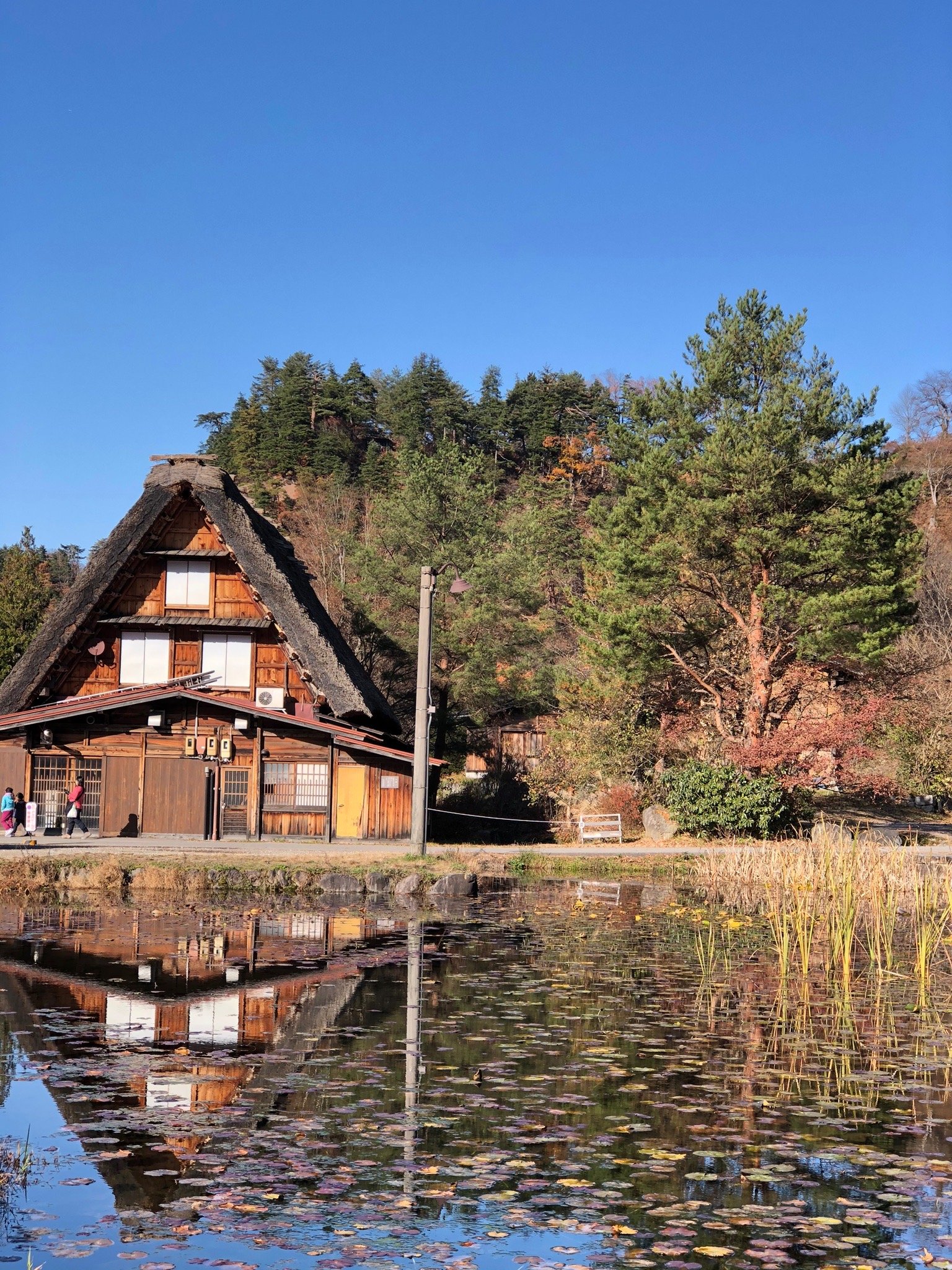 白川郷の湯【 2024年最新の料金比較・口コミ・宿泊予約 】- トリップアドバイザー