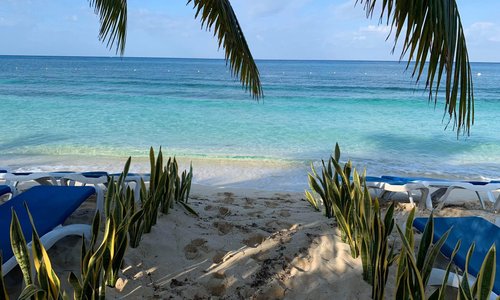 San Miguel de Cozumel, Mexico 2023: Best Places to Visit - Tripadvisor