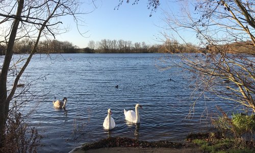 Colwick, England 2023: Best Places to Visit - Tripadvisor