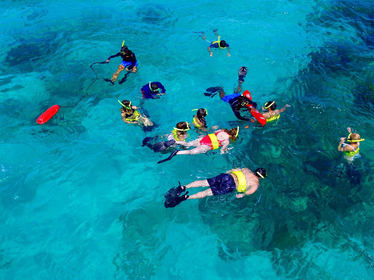 snorkeling tours in fajardo puerto rico