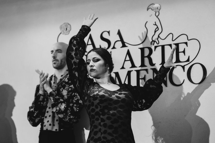 Imagen 7 de Casa Del Arte Flamenco