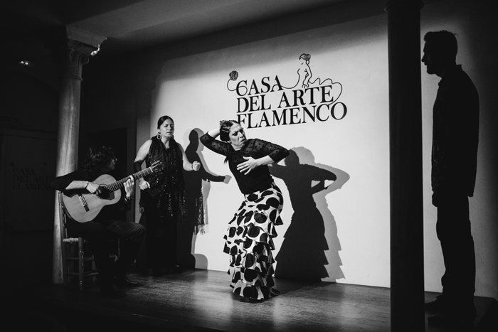 Imagen 4 de Casa Del Arte Flamenco