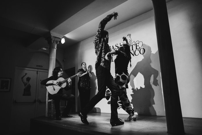 Imagen 3 de Casa Del Arte Flamenco