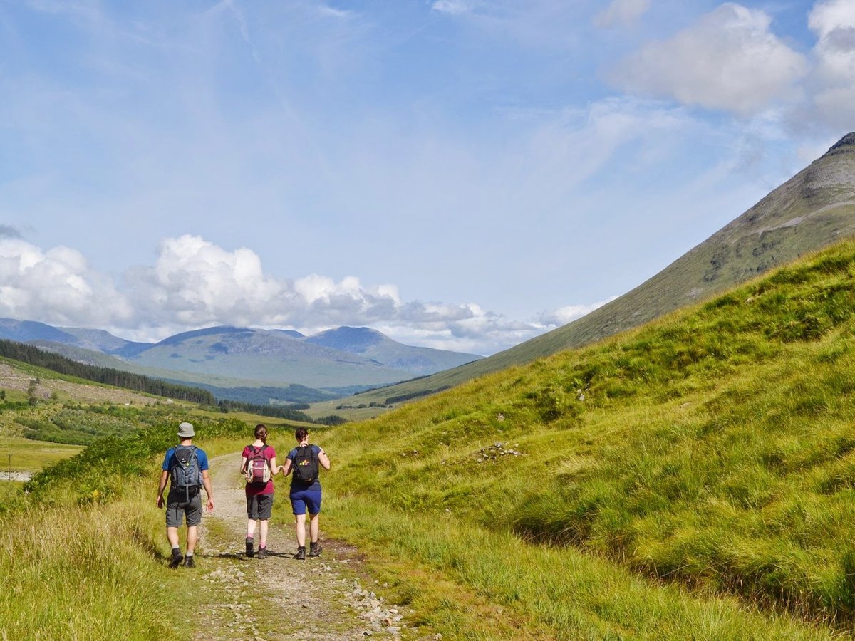 All You Need To Know About Highland Cattle - Hillwalk Tours Self-Guided  Hiking Tours