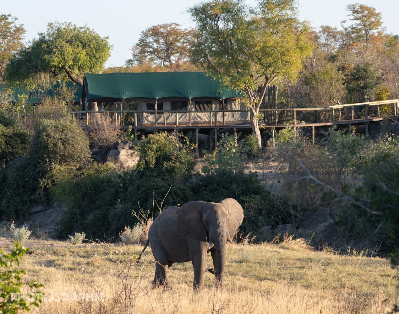 DETEEMA SPRINGS CAMP - MACHABA SAFARIS - Updated 2024 Campground ...