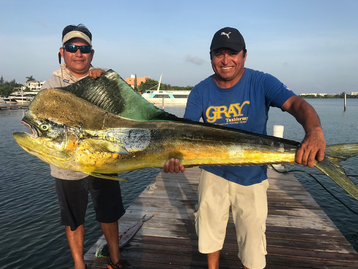 Charter Fishing Cancun - All You Need to Know BEFORE You Go (2024)
