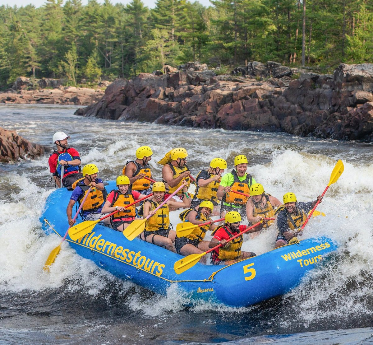 Wildlife Safari Rovaniemi