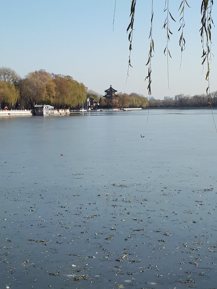 Beijing Fengtai Nunnery