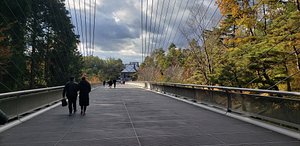 Latest travel itineraries for MIHO MUSEUM in October (updated in 2023), MIHO  MUSEUM reviews, MIHO MUSEUM address and opening hours, popular attractions,  hotels, and restaurants near MIHO MUSEUM 