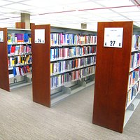 Multitude of tomes