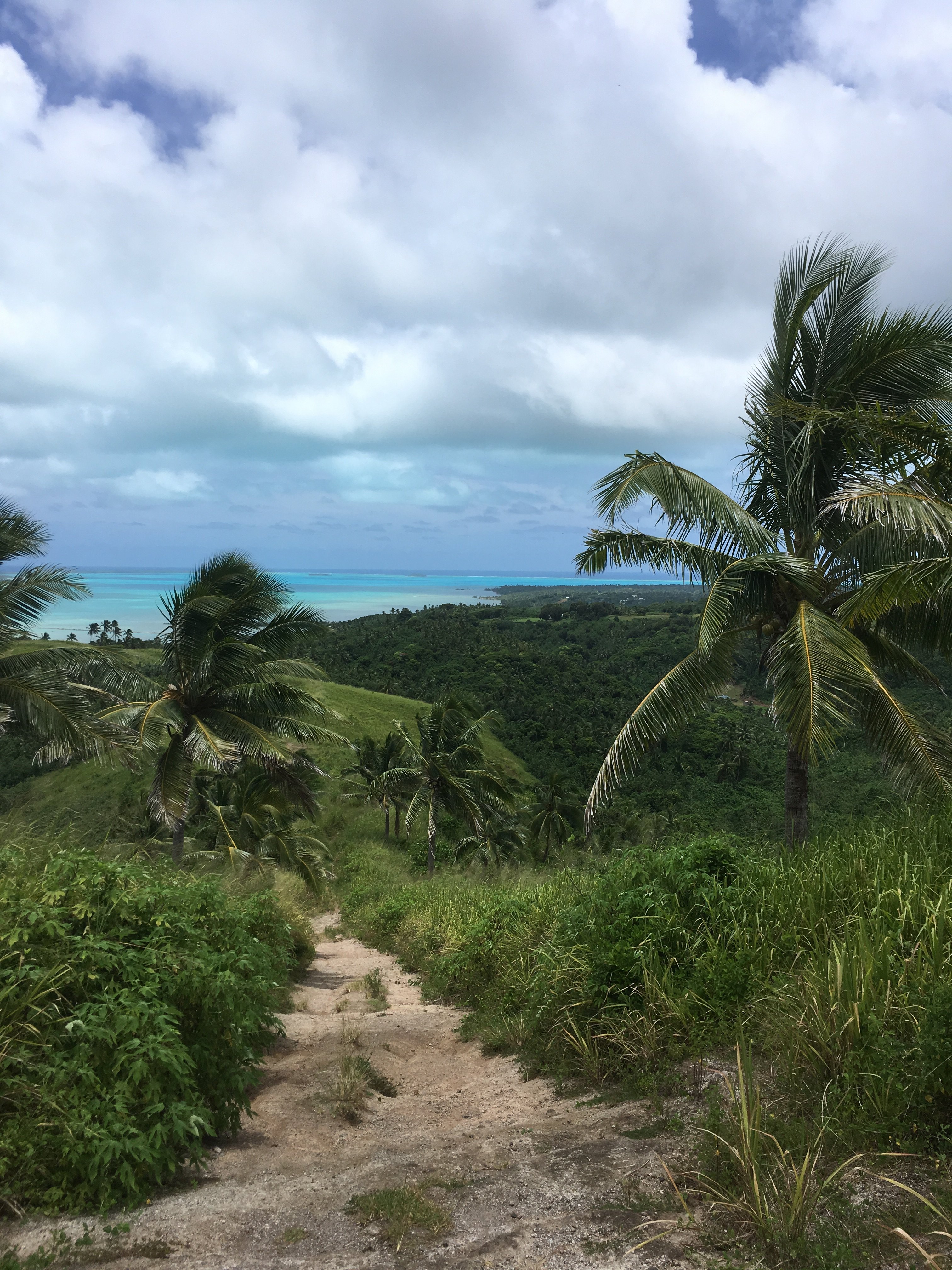 THE 15 BEST Things To Do In Cook Islands - 2021 (with Photos) - Tripadvisor