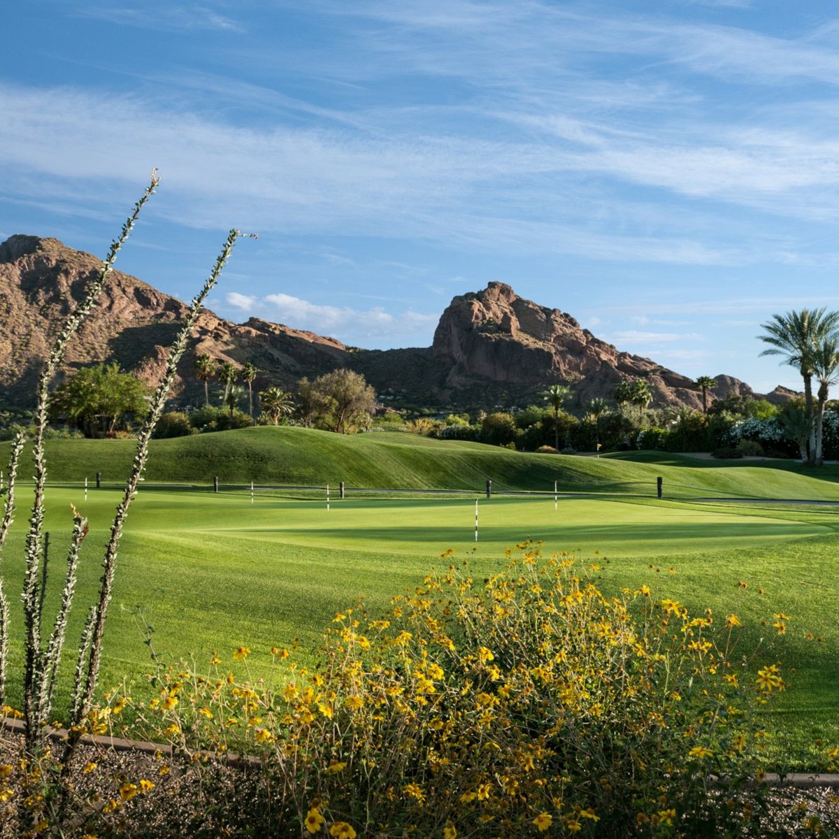 Scottsdale Golf Resort  Short Course at Mountain Shadows Resort Scottsdale