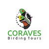 CoravesBirdingTours
