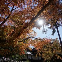 君津市・真勝寺
