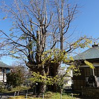 君津市・正源寺
