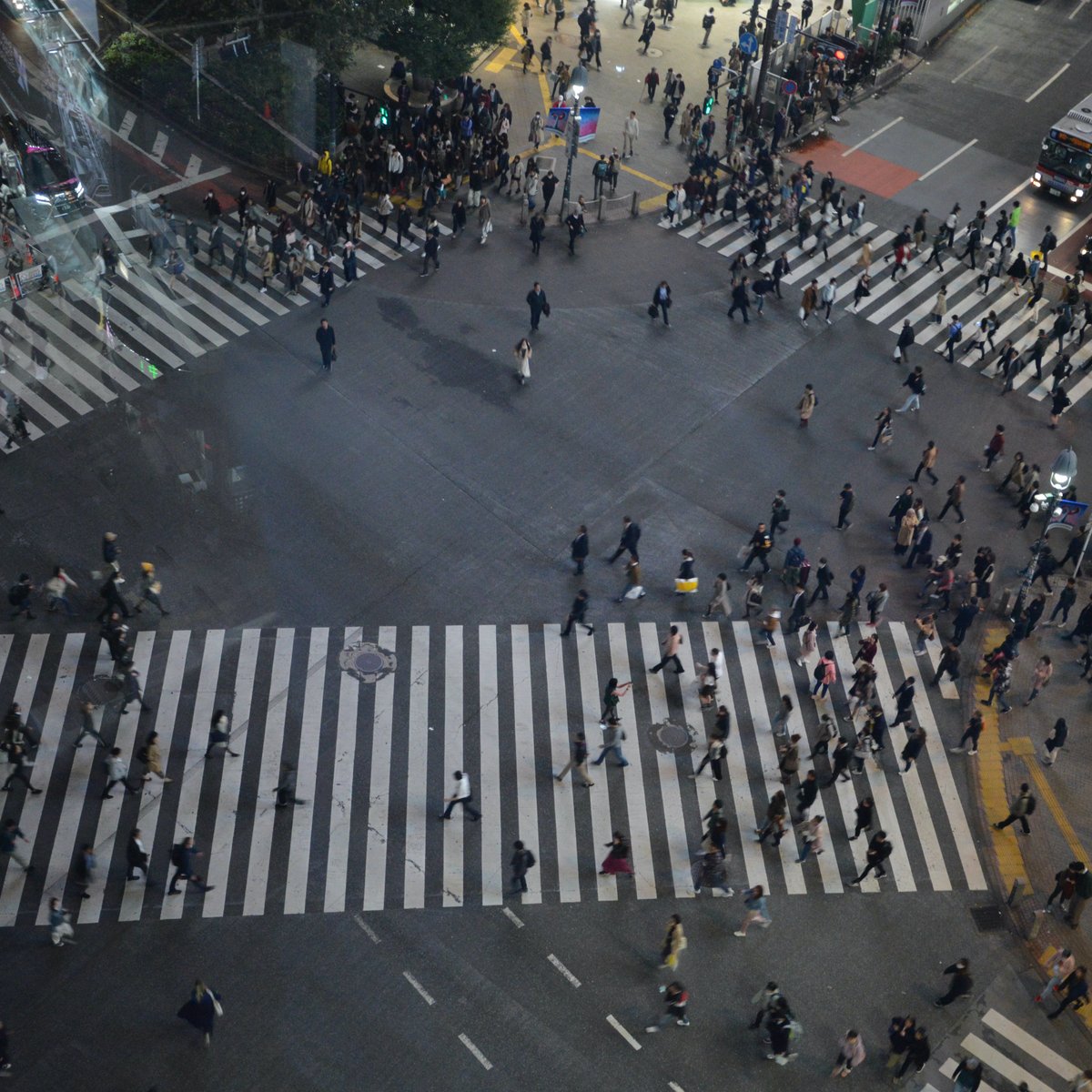 22年 Crossing View 行く前に 見どころをチェック トリップアドバイザー