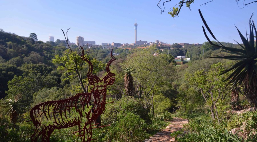 view towards city