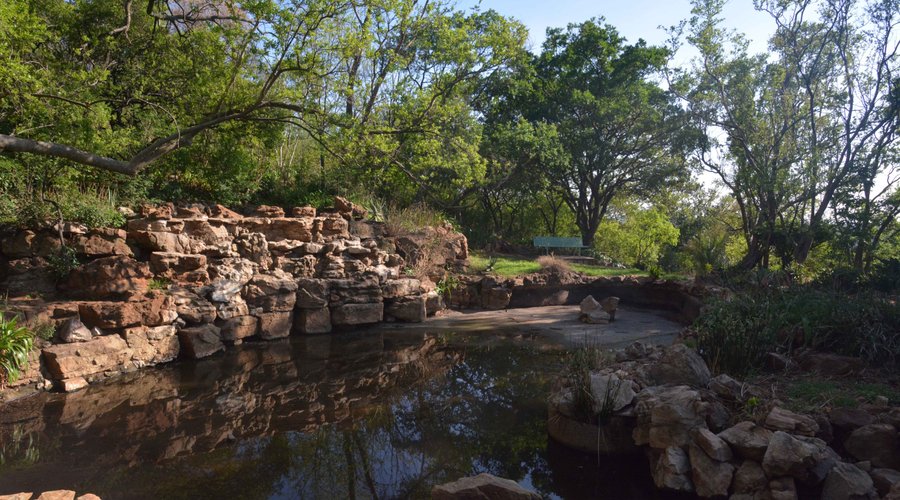 small pond