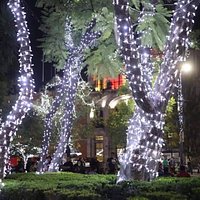 Paseo por plaza patria