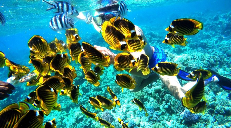 Schnorchelgänge mit Safari4Brothers in der Nähe der Utopia-Insel