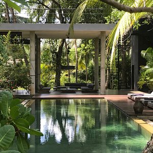 Jungle Pavilion with salt water swimming pool