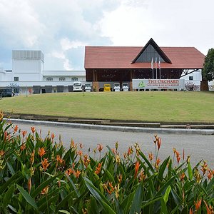 The Orchard Wellness & SPA Resort Exterior View