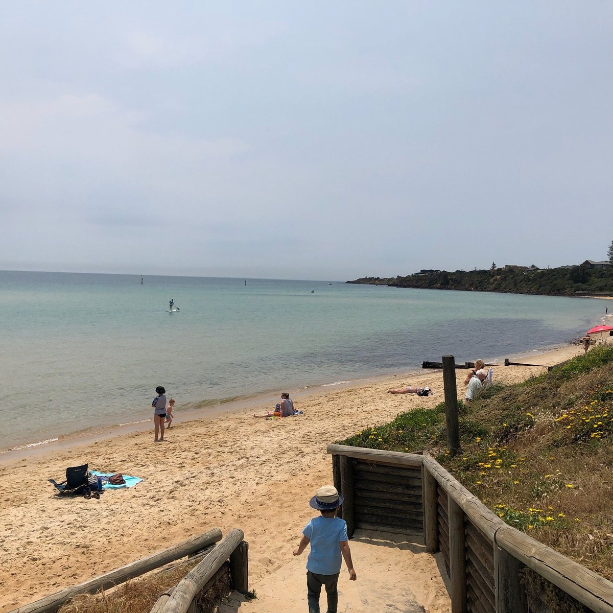 Fishermans Beach Mornington All You Need To Know Before You Go